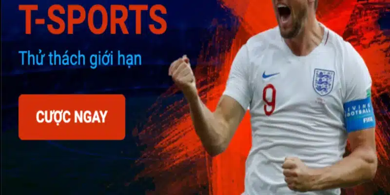 Tsports: Sảnh cược thể thao giải trí hàng đầu 2024